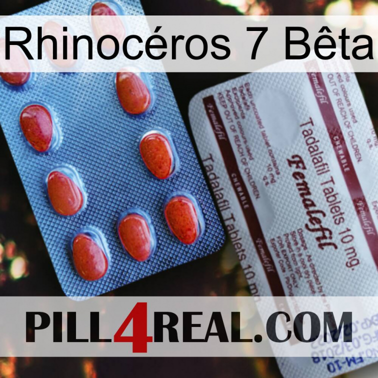 Rhinocéros 7 Bêta 36